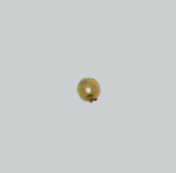 2.5mm Round Metal Beads Gold Plated (100 per pack)