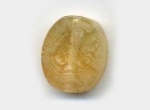 Acrylic Oval Flat Bead Citrine Colour 18x15mm (1 piece)