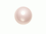 Cream Rose 12mm Pearl (X1) 5810