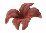 Acrylic Orchid Flower Red 48x40mm (1 piece)