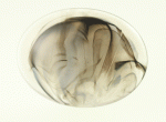 Acrylic Faux Cabouchon Smoked 48x30mm (1 piece)