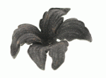 Acrylic Orchid Flower Black 48x40mm (1 piece)