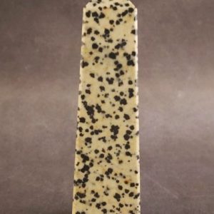 Tower- Jasper (Dalmatian)