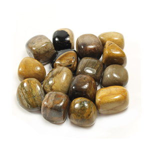 Petrified Wood