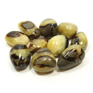 Septarian Pebble