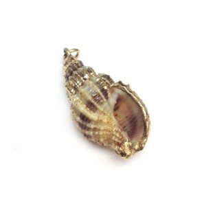Shell Pendant with Metal Edge 17x37mm
