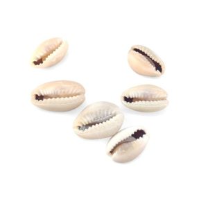 Shell Beads Natural 10x14mm